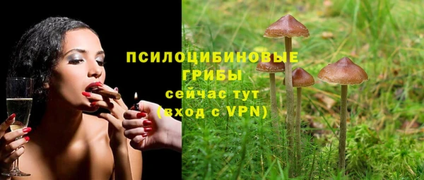 герыч Горняк