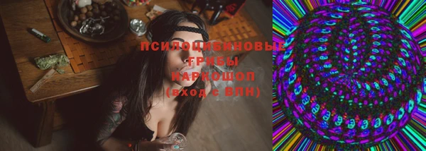 герыч Горняк